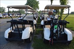 GALLERY - DSC_3335 -  20170622112427